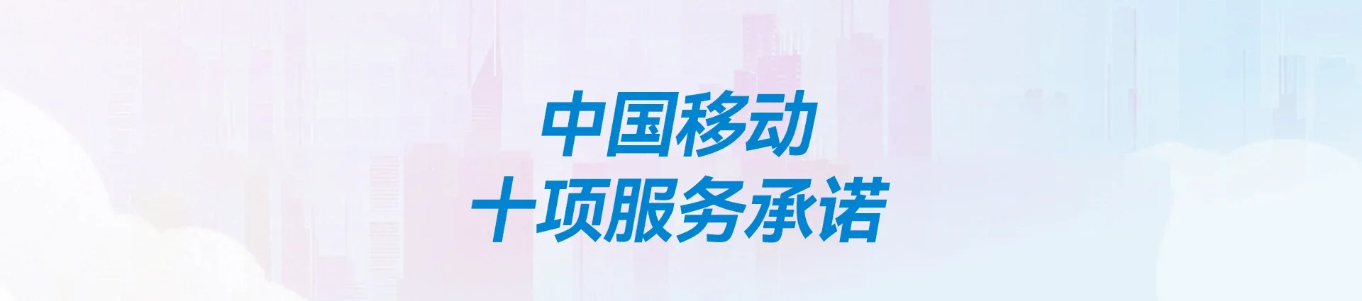岭东区移动宽带