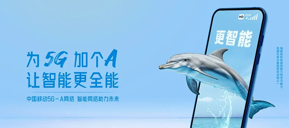 岭东区岭东区中心街道 移动宽带